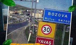 Şanlıurfa’da Bozova’da Gezilecek 9 Yer: O Yere Hayran Kalacaksınız