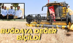 Altın Değerinde Hasat: Şanlıurfa’da Buğday 16 TL’nin Üzerine Çıktı