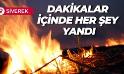 Şanlıurfa’da Anız Yangını Yürekleri Ağza Getirdi