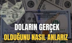 Doların Gerçek Olduğunu Nasıl Anlarız