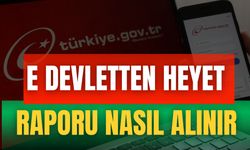 E Devletten Heyet Raporu Nasıl Alınır