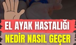 El Ayak Hastalığı Nedir Nasıl Geçer