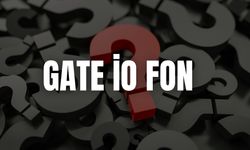 Gate İo Fon Şifresi Nedir