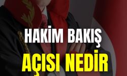 Hakim Bakış Açısı Nedir