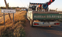 Harran'da Haşereyle Mücadele Sürüyor