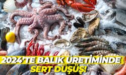 2024’te Balık Üretiminde Sert Düşüş! En Çok Hangi Tür Etkilendi?