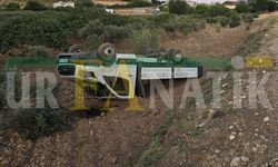 Şanlıurfa’da Gün Kazayla Başladı! Kamyonet Şarampole Yuvarlandı
