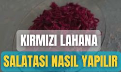 Kırmızı Lahana Salatası Nasıl Yapılır