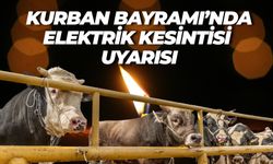 Kurban Bayramı'nın İlk Gününde Şanlıurfa’da Elektrik Kesintisi