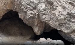 Derinlerde Saklanıyorlardı! Öyle Bir Yerde Bulundu ki…