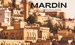 Mardin En Tehlikeli İlçesi, Aşireti, Yerleri, Mahallesi ve Mardin ile Alakalı Her Şey