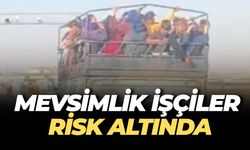 Şanlıurfa’da Mevsimlik Tarım İşçilerinin Tehlikeli Yolculuğu Gündemde