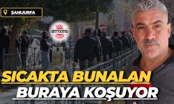 Şanlıurfa'da Sıcakta Bunalan Buraya Koşuyor: Her Sokakta Karşınıza Çıkabilir