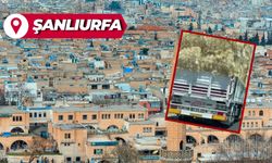 Şanlıurfa'da Çekilen Görüntülere Tepki Yağdı