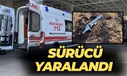 Şanlıurfa-Siverek Yolunda Kamyonet Takla Attı