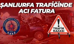 Şanlıurfa’da İhmalin Bedeli Ağır Oldu: 4 Ölü, 521 Yaralı