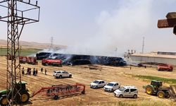 Şanlıurfa'da Anız Yangını Tonlarca Samanı Küle Çevirdi