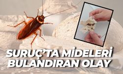 Şanlıurfa Suruç’ta Skandal: Ekmekten Hamam Böceği Çıktı!