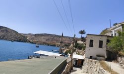 Şanlıurfa’da Korku Dolu Anlar: Cep Telefonuyla Görüntülemek İstediler, Saldırıya Uğradılar