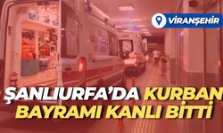 Kurban Bayramı’nda Şanlıurfa Karıştı: Akrabalar Taş ve Sopalarla Birbirine Girdi