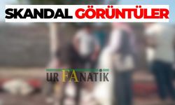Şanlıurfa’da Kurban Bayramı’nda Skandal Görüntüler