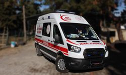 Şanlıurfa’da Kurban Bayramı’nın İlk Gününde 12 Kişi Hastanelik Oldu!