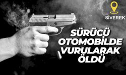 Şanlıurfa Siverek’te Kanlı Pusu: Direksiyon Başında Öldürüldü