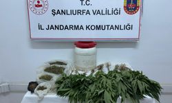 Şanlıurfa’da Uyuşturucu Operasyonu: Kenevir ve Esrar Ele Geçirildi