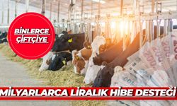 TKDK Müjdeyi Verdi: Binlerce Çiftçiye Milyarlarca Liralık Hibe Desteği
