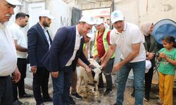 Eyyübiye Belediyesi’nden Yetim Ailelere Kurban Bayramı Hediyesi