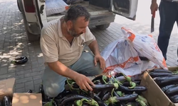 Şanlıurfa’da Döviz Fırtınası: Dolar Yükseldi, Euro Geriledi