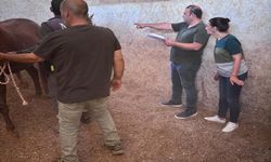 Şanlıurfa’da Kayıt Altına Alınıyor: Kimlik, İhracata Güvence