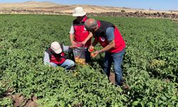 Şanlıurfa’da Alınan Numuneler Diyarbakır’a Gönderildi