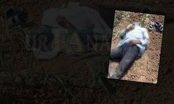 Şanlıurfa’da Mısır Tarlasında Bulunan Cesedin Kimliği Belirlendi