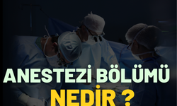Anestezi Bölümü Nedir