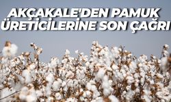 Akçakale Tarım Müdürlüğü’nden Kritik Uyarı: Pamuk Çiftçileri İçin Yeni Şart!