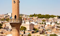 Şanlıurfa'da 6 Ay İçerisinde Hayatını Kaybeden Çocuk Sayısı Şok Etkisi Yarattı