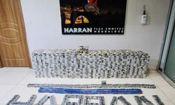 Şanlıurfa'da Harran'da Binlerce Ele Geçirildi: Bir Kişi Gözaltına Alındı