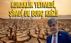 Hilvan Ziraat Odası Başkanı İpar: Çiftçinin Banka Borçları Ertelenmeli