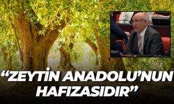 Mahmut Tanal Zeytinlikler İçin Ayağa Kalktı!