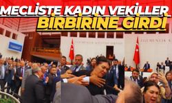 Mecliste Kadın Vekiller Birbirine Girdi: Cep Telefonu Kamerasına Yansıyan Anlar Gündem Oldu