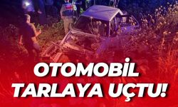 Viranşehir-Kızıltepe Yolunda Can Pazarı: Otomobil Tarlaya Uçtu