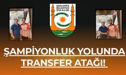 Şanlıurfa Büyükşehir Belediyespor Transfer Bombalarını Patlattı!