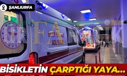 Şanlıurfa Haliliye’de Bisikletin Çarptığı Yaya Yaralandı!