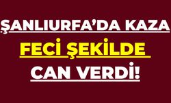Şanlıurfa Suruç'ta Feci Kaza: Tırın Çarptığı Yaya Hayatını Kaybetti