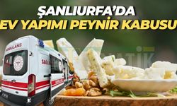 Şanlıurfa’da Gece Yarısı Peynir Faciası: Aynı Aileden 6 Kişi Zehirlendi!