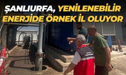 Tarım Atıklarıyla Enerji Devrimi Şanlıurfa’da Başladı
