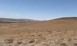 Şanlıurfa’ya Nefes Aldıracak Proje: Hedef 63 Bin Adet!