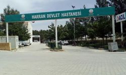 Şanlıurfa’da Akrep Sokması: 2 Yaşındaki Çocuk Yaşam Mücadelesi Veriyor