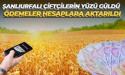 Şanlıurfalı Çiftçilerin Yüzü Güldü: Ödemeler Hesaplara Aktarıldı
